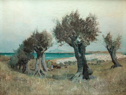 Théodore Charles BALKÉ (1875-1951)
Olive...