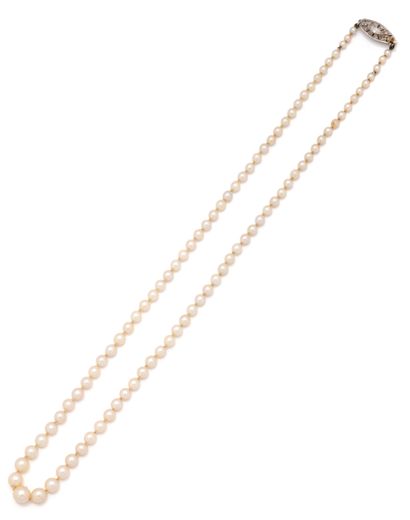 Necklace composed of 94 probably fine pearls...