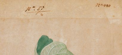 Henri Joseph REDOUTÉ (1766-1852), Dans le...