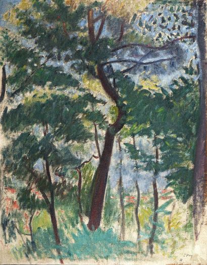 Jean PUY (1876-1960)
Bois à Saint Alban....