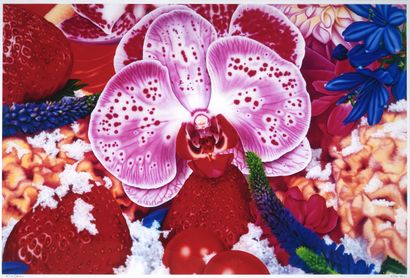 Marc QUINN (1964)
Melville Islands Badlands,...