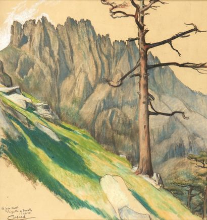 Adolphe COSSARD (1880-1952)
Le pin mort,...