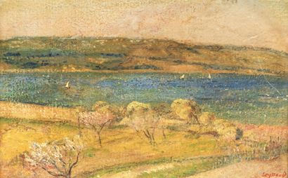 René SEYSSAUD (1867-1952)
Paysage
Huile sur...