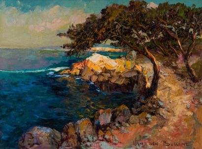 Jacques VAN DEN BUSSCHE (1925) 

Bord de...