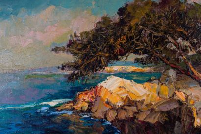 Jacques VAN DEN BUSSCHE (1925) 

Bord de...