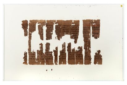 EGYPTE
Le Papyrus Tamérit 1. Exceptionnel...