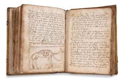 
VOYAGE EN TERRE SAINTE GACHI JEHAN

MANUSCRIT...