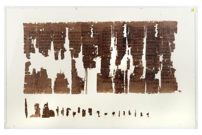 EGYPTE
Le Papyrus Tamérit 1. Exceptionnel...