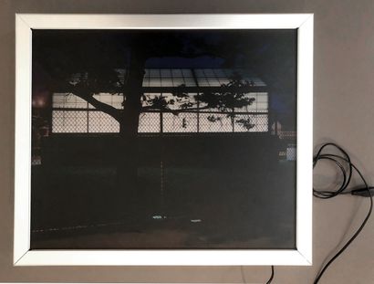 Barney KULOK (1981). New York, 2004. Color...