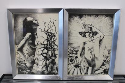 Female photo frames (2), silver 19x27.5