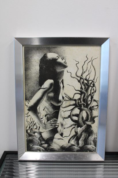 Female photo frames (2), silver 19x27.5