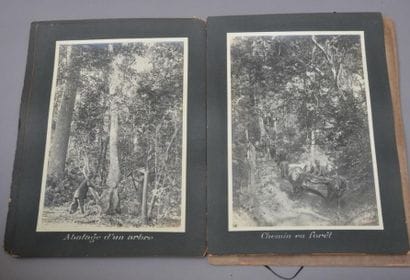 1915 - 1916. MACHET à Saigon [Sylviculture]

Arboretum...