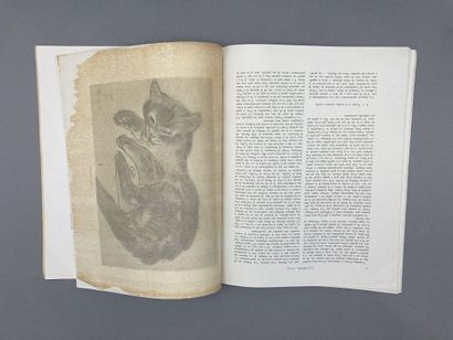 1928-1929

Extrême-Asie. La revue Indochinoise...