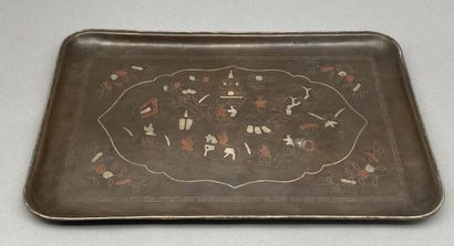 Rectangular tray in bronze circled with silver,...