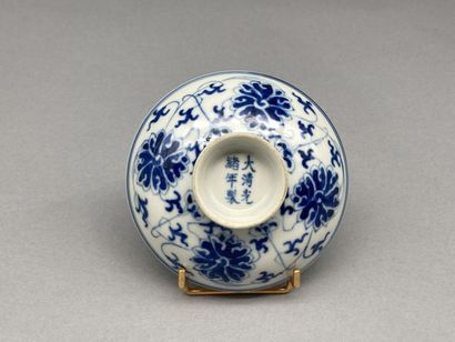 Lot in blue and white porcelain called 