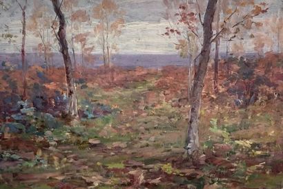Auguste Michel NOBILLET (1850-1914)

Landscape...