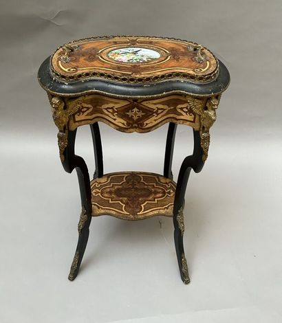 Oval shaped planter in molded blackened wood,...