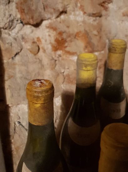 Lot including :

- Pouilly fumé, Ladoucette...