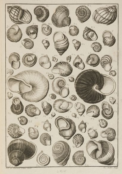 DEZALLIER D'ARGENVILLE (Antoine Joseph)....