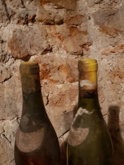 Lot including :

- Pouilly fumé, Ladoucette...