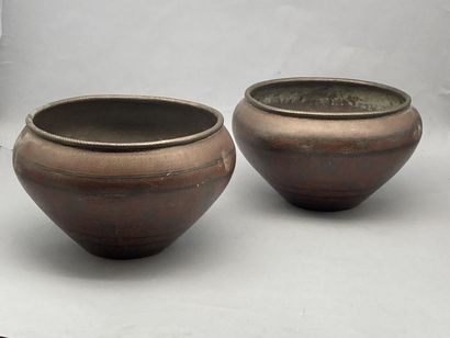 Lot including : 

- A pair of polychrome...