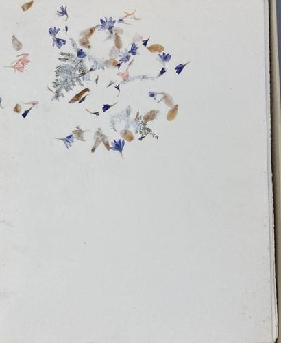 BABOULENE & COLETTE. Beautiful seasons. The...
