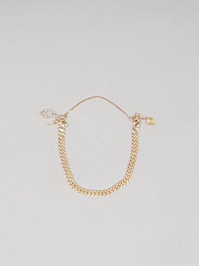 Flexible bracelet in 14 K gold (585 °/°°)...