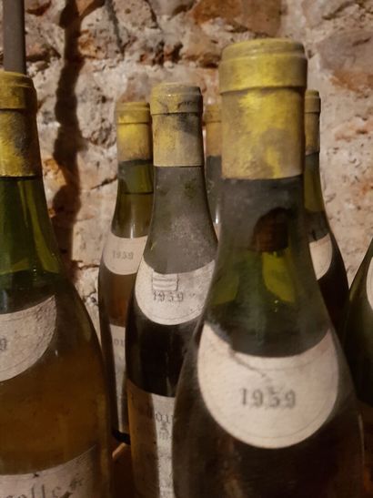 Lot including :

- Pouilly fumé, Ladoucette...