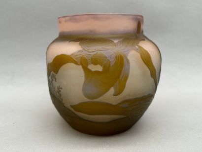 Établissements GALLÉ (1904-1936)
Ovoid vase...