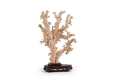 Large white coral subject with richly sculpted...