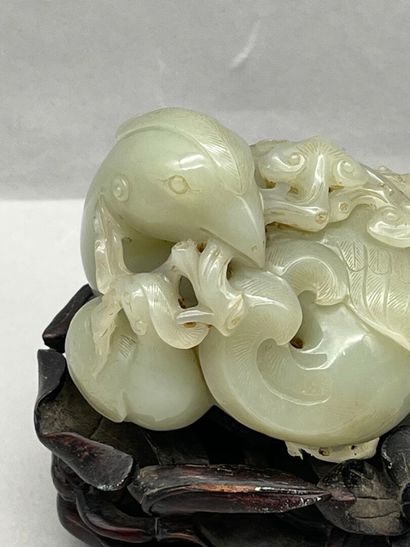 Phoenix. China, 18th-19th century. 
Celadon...