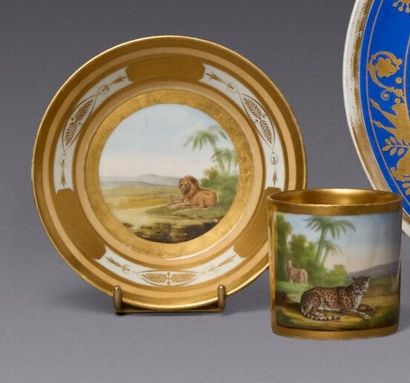 PARIS
Porcelain 
