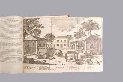Antilles - DU TERTRE (R. P. Jean-Baptiste)....