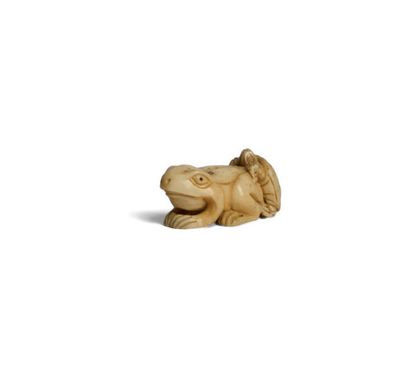 OGAWA. 
Ivory netsuke featuring a turtle...