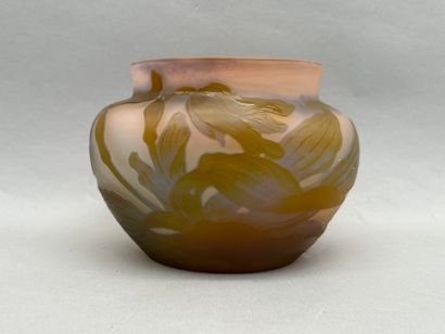 Établissements GALLÉ (1904-1936)
Ovoid vase...