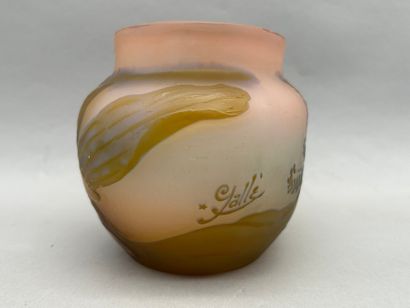 Établissements GALLÉ (1904-1936)
Ovoid vase...