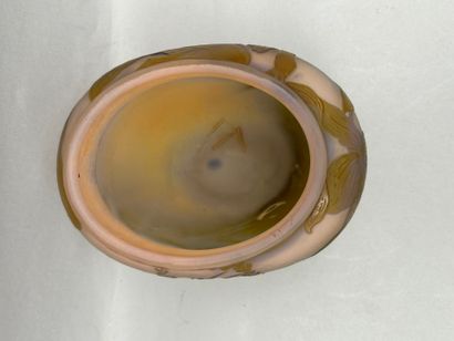 Établissements GALLÉ (1904-1936)
Ovoid vase...