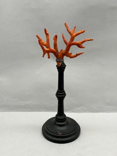 Ancienne branche de corail rouge sur socle....