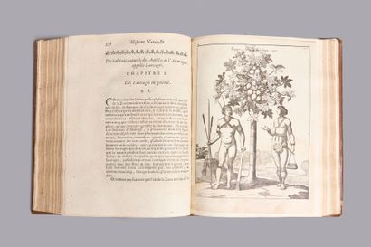 Antilles - DU TERTRE (R. P. Jean-Baptiste)....