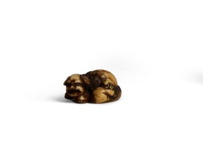Ivory netsuke featuring a reclining shishi...