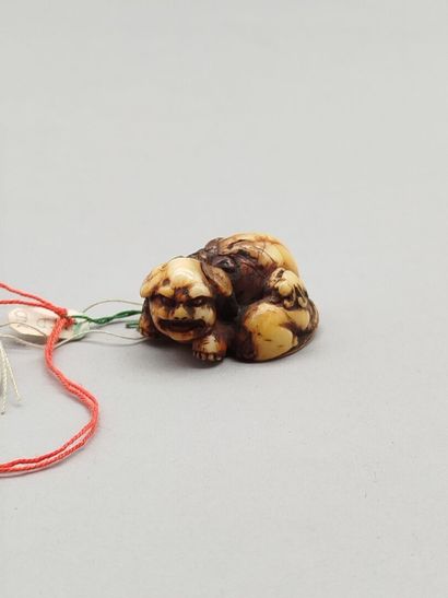 Ivory netsuke featuring a reclining shishi...