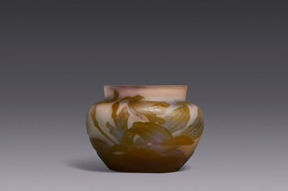 Établissements GALLÉ (1904-1936)
Ovoid vase...