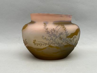 Établissements GALLÉ (1904-1936)
Ovoid vase...
