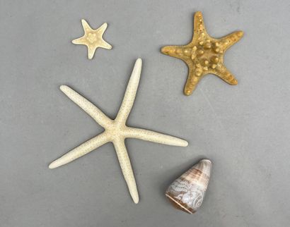 Lot comprenant: 
- Ensemble de trois cristaux...
