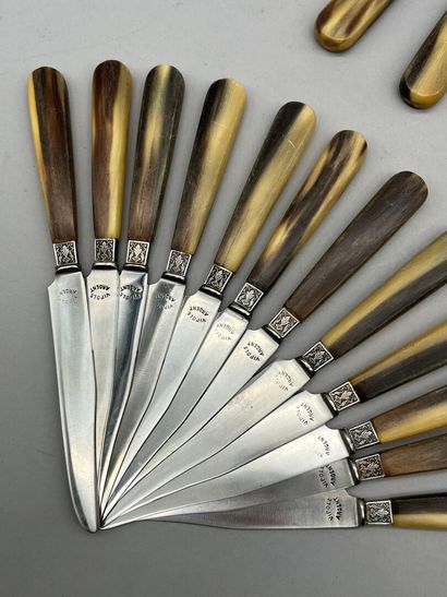 LA PANTHÈRE
Suite de 12 grands couteaux et...