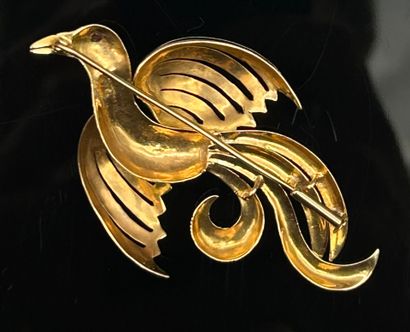 Broche 