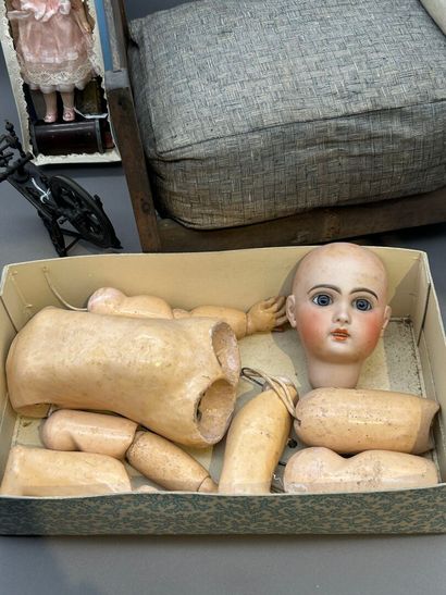 Lot comprenant :
- MIGNONNETTE, S.F.B.J....
