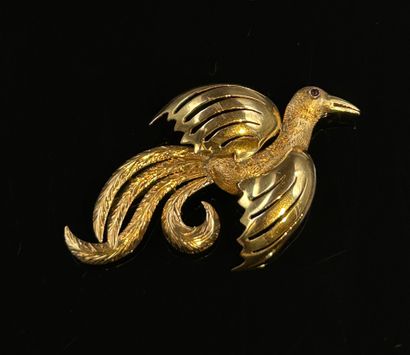 Broche 