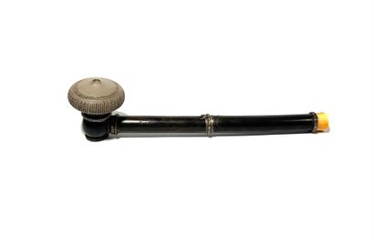 *Travel opium pipe in horn, in two parts....