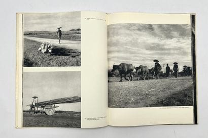 1951-1956
- Collectif
VIET-NAM
HOA-QUI Editions,...